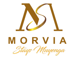 Morvia-Stay-Brand-Fn-1